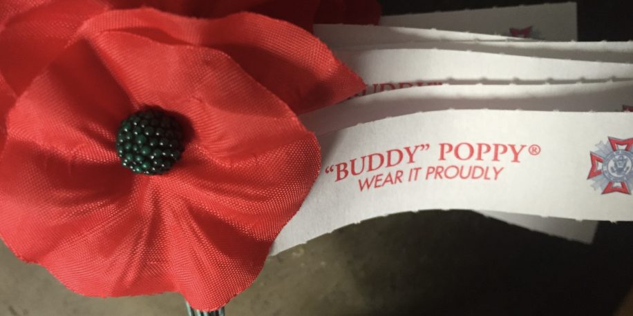 Buddy Poppy image